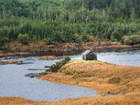 Fishermans Cottage  Commended Advanced PDI by Maurice O'Flaherty