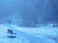 Winter Mist  Commended Advanced Colour Print by Raymond Hughes