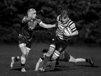 Fast Break  Commended Advanced Mono Print by Arnie McAllister