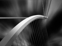 Looking Up  Top Advanced Mono Print by Arnie McAllister