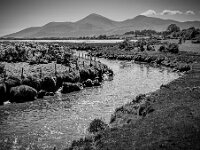 View at Ballkinlar  Mono Print by Brian Garner