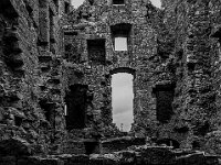 Monea castle  Mono Print by Brian Garner : Garrison, negatives