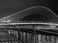 The Zubizuri Bridge  Commended Advanced Mono Print by Pauline O'Flaherty : 2027