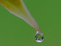 Holding on  Commended Advanced PDI by Raymond Hughes