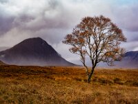 Glencoe Scene  Top Advanced PDI by Arnie McAllister