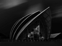 Armadillo  Commended Advanced Mono Print by Arnie McAllister