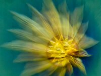 Sicilian Sundial  Commended Advanced PDI by Raymond Hughes