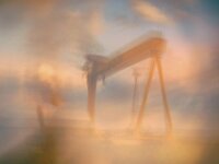 A Big Crane  Commended Advanced PDI by Arnie McAllister